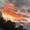 miyah_03617